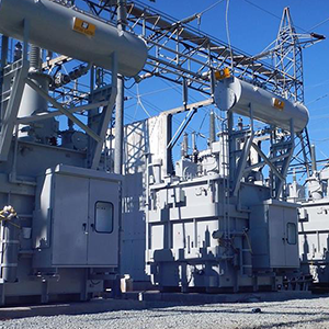 Intelligent Maintenance Information System for Power Transformer